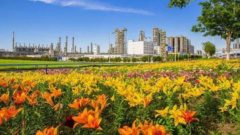 工业添加剂与助剂：揭秘它们在化工生产中的不同角色