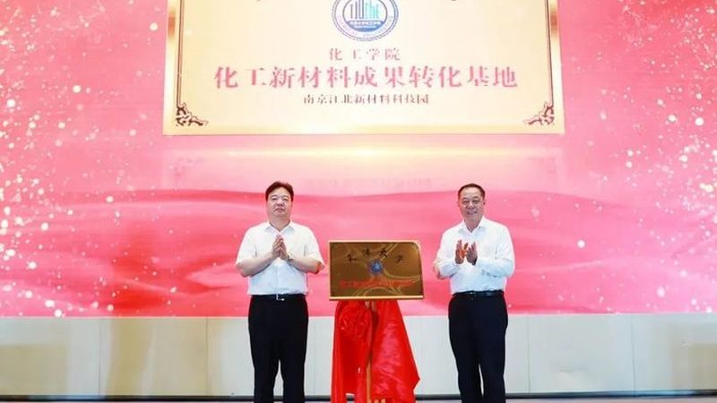 苯甲酸钠：揭秘其价格背后的因素**